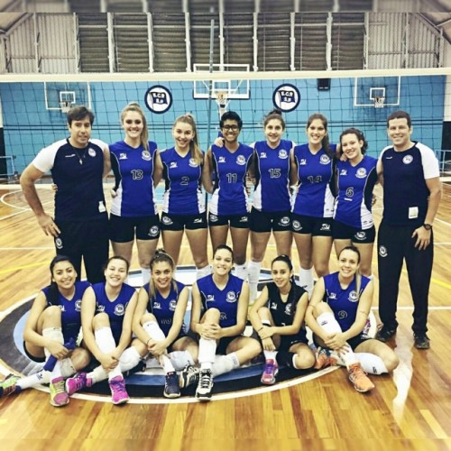 A novíssima equipe de voleibol do Pinheiros estreia com vitória no  Campeonato Paulista - Esporte Clube Pinheiros