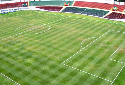 Gramado do estádio do Canindé (Portuguesa/Divulgação)