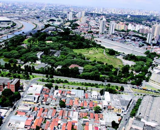 Clínicas de futebol americano, futebol de praia e rugby - Esportividade -  Guia de esporte de São Paulo e região