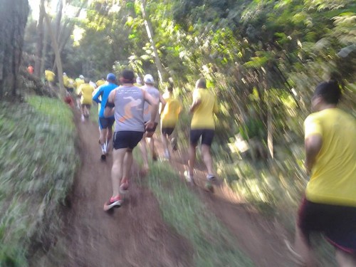 Corrida em trilha do Jardim Botânico de São Paulo (Equipe de Corrida Vivendo Melhor)