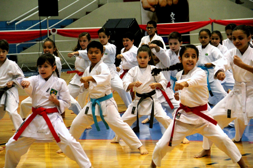 Karate em Barueri (Prefeitura de Barueri)