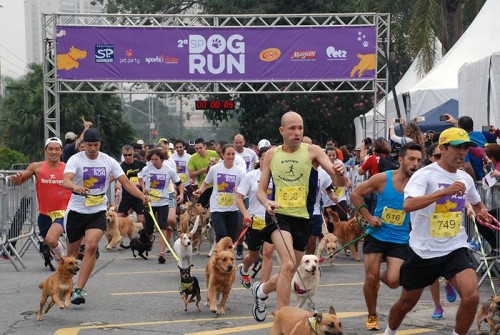 SP Dog Run (SportsFuse)