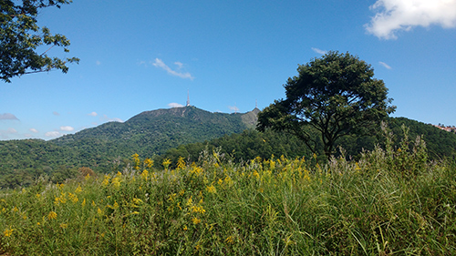 Bela vista do pico do Jaraguá (Esportividade)