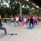Aulão de yoga reúne mais de 100 pessoas no Parque do Ibirapuera - Lance!